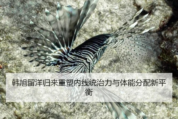 韩旭留洋归来重塑内线统治力与体能分配新平衡